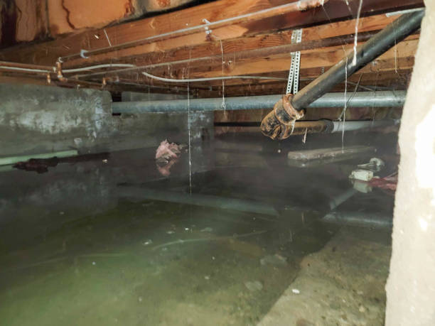 Best 24/7 water damage repair  in Spackenkill, NY