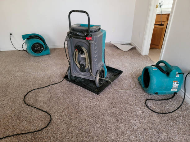 Best Water damage cleanup near me  in Spackenkill, NY