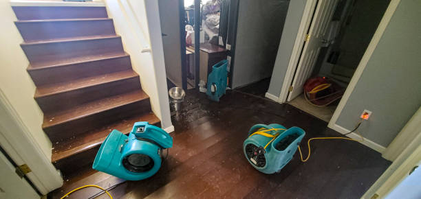 Best Water damage restoration near me  in Spackenkill, NY