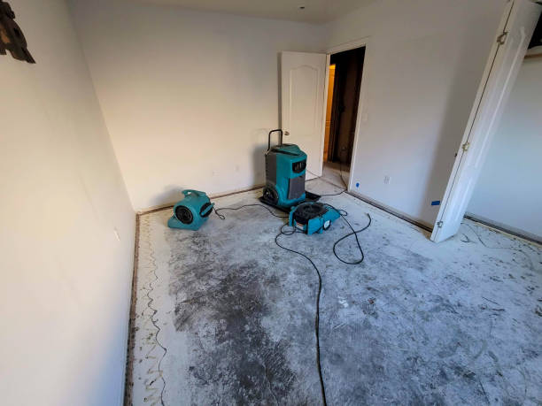 Best Flood restoration services  in Spackenkill, NY