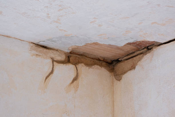 Best Basement water damage restoration  in Spackenkill, NY