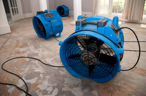 Best Water damage restoration services  in Spackenkill, NY