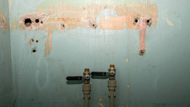 Best Ceiling water damage repair  in Spackenkill, NY
