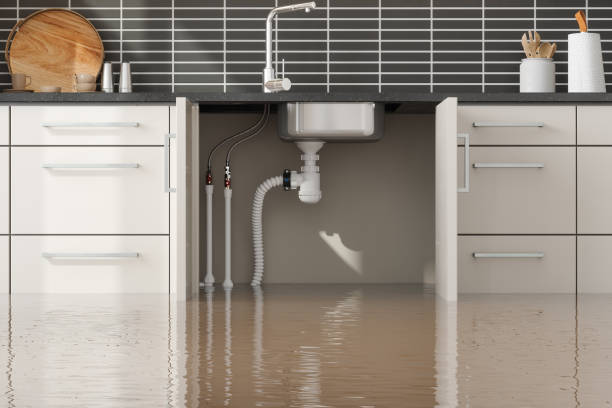 Best Water damage restoration experts  in Spackenkill, NY