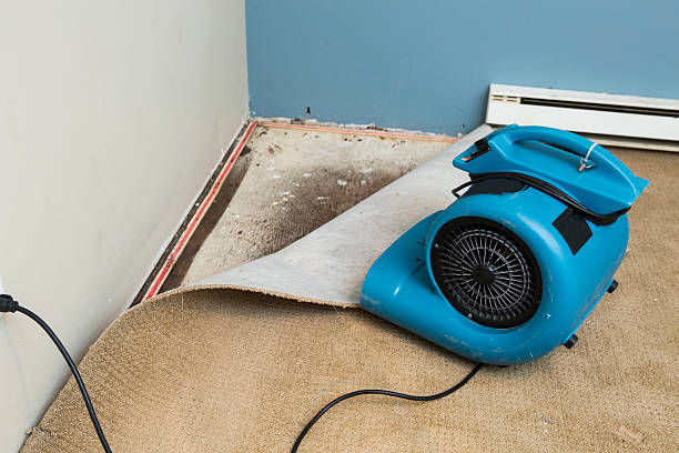 Best Water damage restoration near me  in Spackenkill, NY